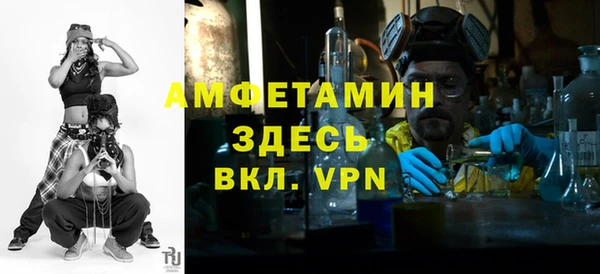 хмурый Вяземский