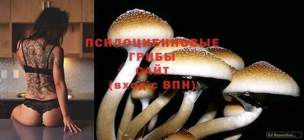 сатива Вязники