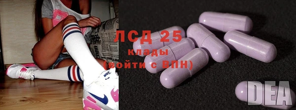 хмурый Вяземский