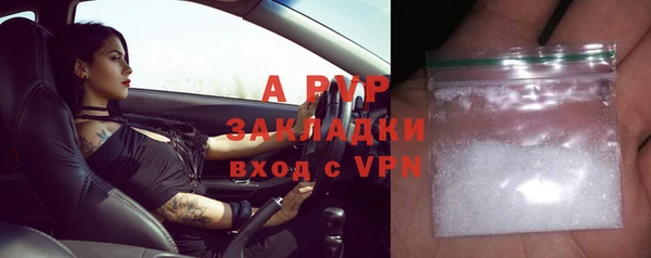 амф Новозыбков