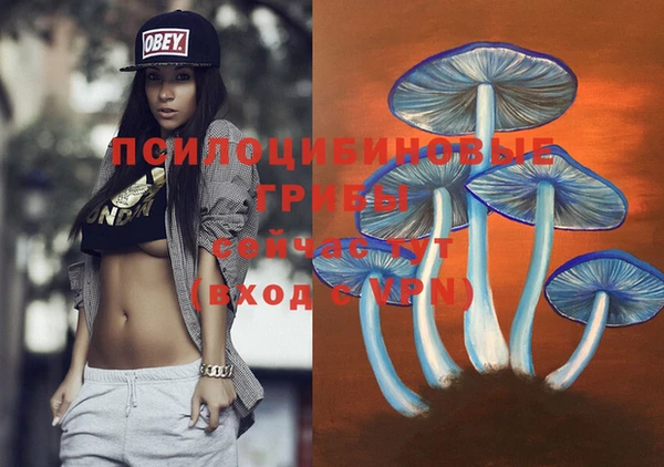 apvp Волосово