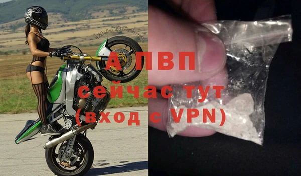 ECSTASY Вязьма